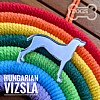 Hungarian Vizsla Rainbow Bridge Gift